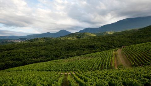 Kir-Yianni Estate Vineyards