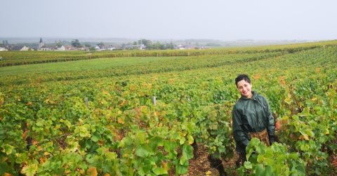 Lilia in Anne Gros' vines in Richebourg