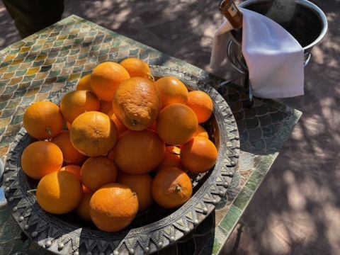 Oranges at Olinto