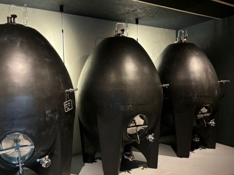 Schaal's concrete eggs