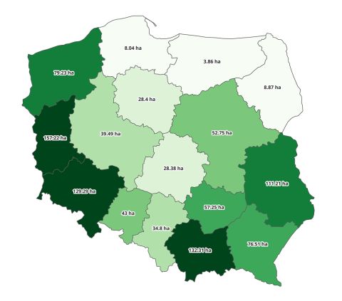 vineyard area in Poland by region