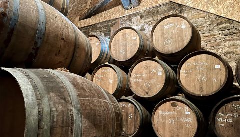 Stephane Tissot's cave à Vin Jaune; photo by Wink Lorch