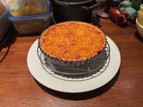 Mardi Gras kumquat tart