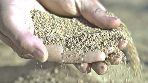 Féniks vineyard soil