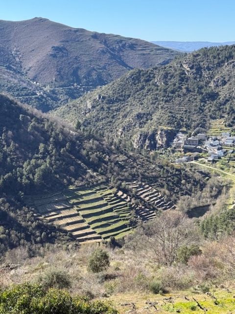 Telmo Rodriguez vineyard in Galicia