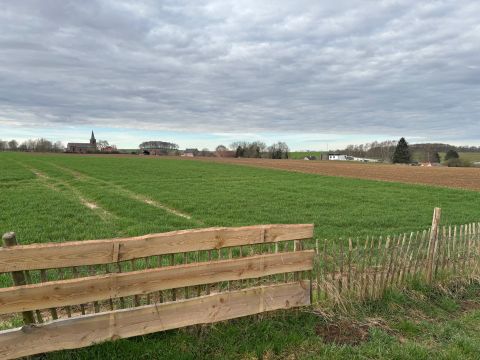 View from Eburon vineyard