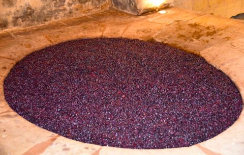 The 17th century Pierre de Tuf vat, carved into the cellar floor