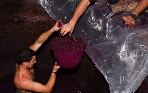 Emptying the Pierre de Tuf vat