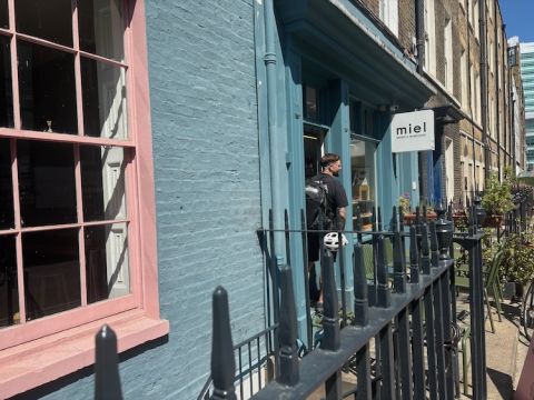 Miel on Warren Street