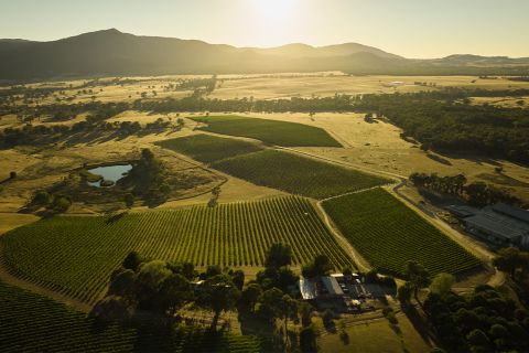 Mount Langi Ghiran vineyards