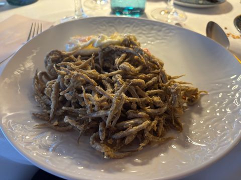 Almadraba whitebait