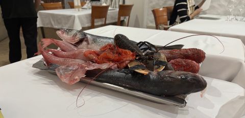 Barretina's fish of the day