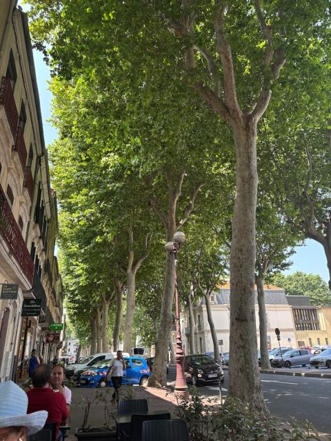 Narbonne boulevard