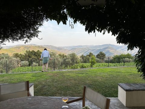 Ludo of Sassicaia, currently at university in Spain, in the Douro