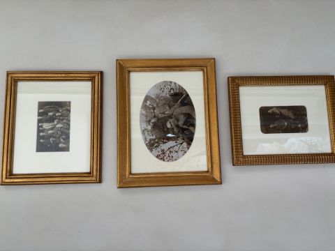 Symington family portraits