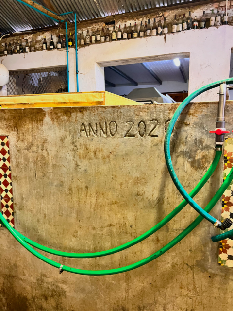 The foot-pressing 'lagare' rudimentarily built during Covid lockdown