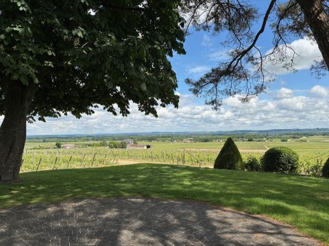 View from Yquem