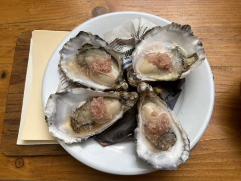 oysters at Rake