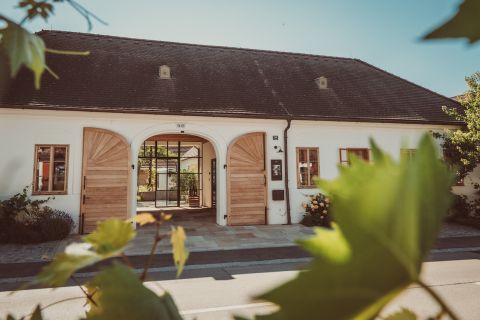 Weingut Bernhard Ott