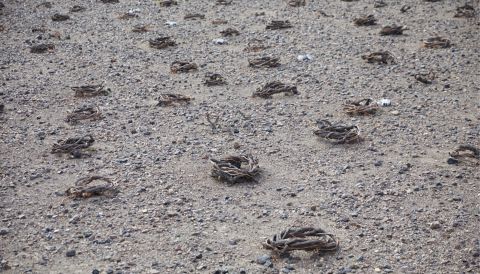 Santorini koulouras via Yiannis Karakasis MW