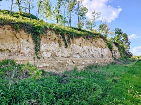typical loess Szekszárd