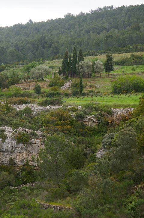 Clos l'Anhel, photo taken in 2020