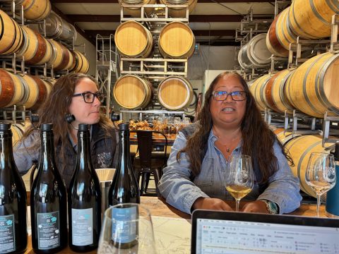 Camins 2 Dreams pair