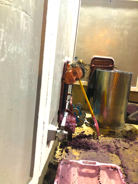 Cosima Bassouls, cleaning out the tank after fermentation