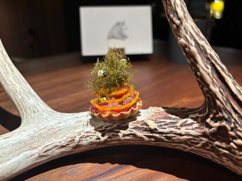 Enclos antler close up