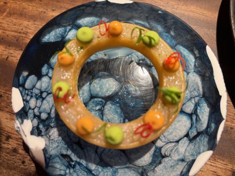 Enclos spiny lobster