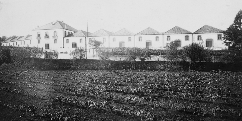 The Graham's 1890 lodge