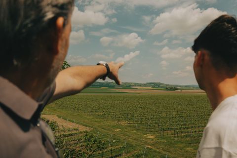 Fritsch Wagram vineyards; photo by Julius Hirtzberger