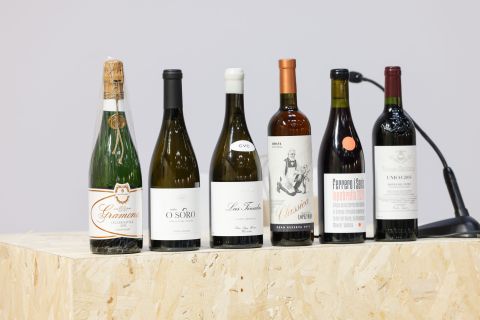 Our six wines for BWW tasting