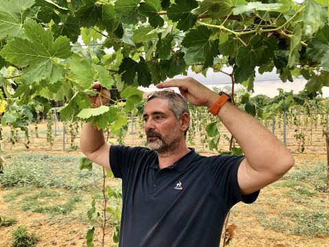 Pierre Bories under the pergola