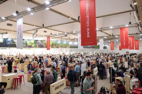 Barcelona Wine Week interior