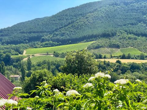 View of the Haute Vallée de l’Orb, over the vineyards and up to the mountains