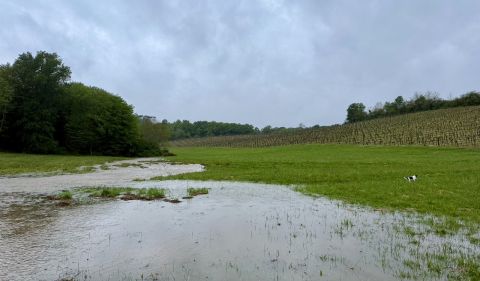rain at Easter 2025 Ch Bauduc