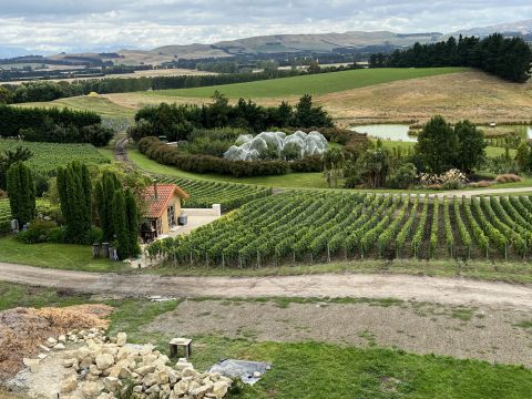 Bell Hill, N Canterbury