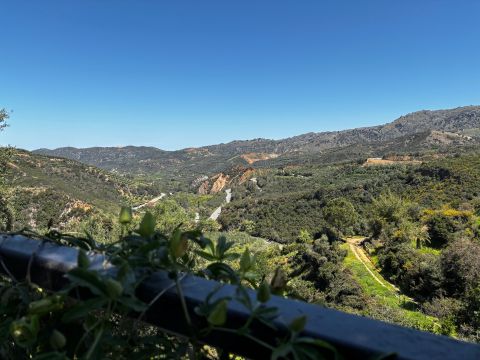 View from Botanical Gardens restaurant