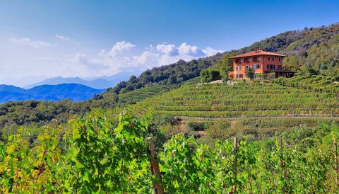 Podere-Ai-Valloni-Panorama-foto-Marco-Melloni