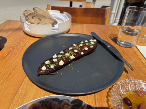 Salis aubergine