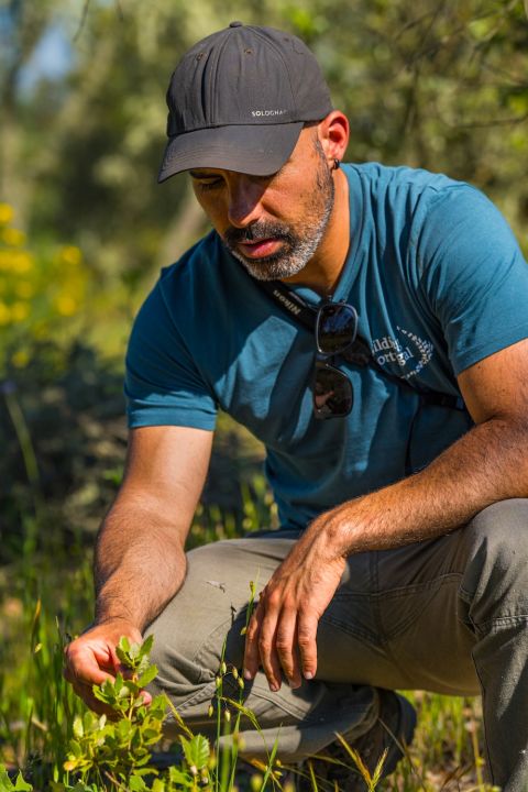 Rewilding Portugal - A member of the team spots a baby oak tree