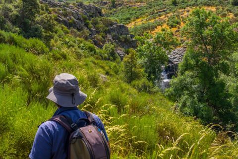 Rewilding Portugal - overlooking the regenerating black oak and holm oak forests of the Côa Valley