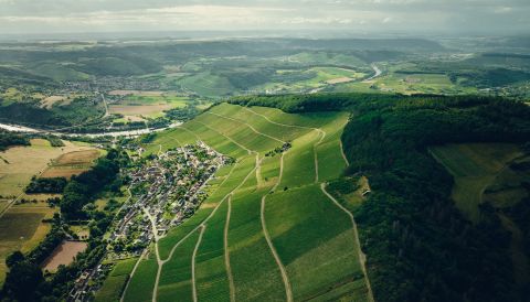 Hofstätter's Saar vineyard seen from above,_2024_©peterbender