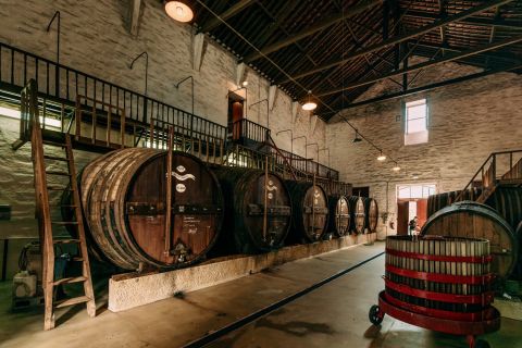 Vale de Mendiz winery