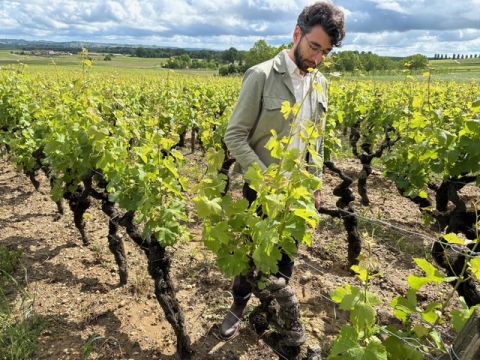 Toni El Khawand, Yquem's cellarmaster