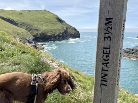 Costal path to Tintagel from Boscastle