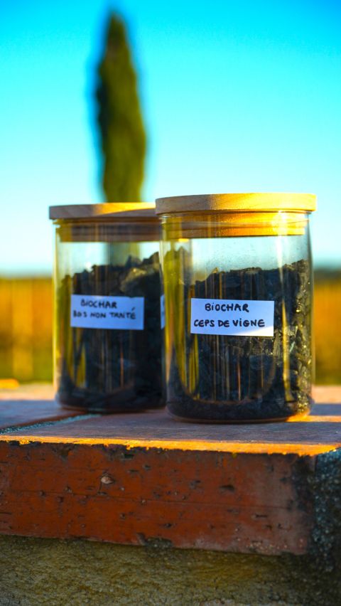 jar-biochars