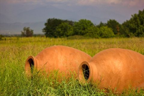 Qvevri in a Georgian field