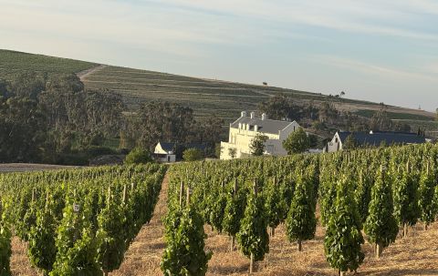Sadie Family's Sonvang complantation and new winery